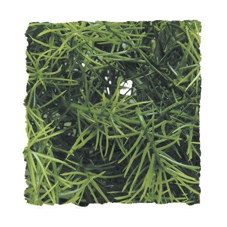 ZooMed Planta de plástico Casuarina mediana para reptiles y anfibios ZooMed Planta de plástico Casuarina mediana para reptiles y anfibios