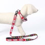 Cerdá Correa Premium Para Perros Marvel T3M:M Talla M Rojo