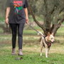 Cerdá Correa Premium Para Perros Marvel T3M:M Talla M Rojo