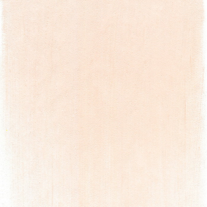 Panpastel 310.8 Bermellón tinte producto