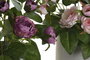 DKD Home Decor Planta de Rosas de Poliéster Surtido de 2 Colores