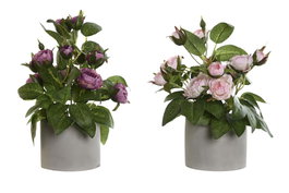 DKD Home Decor Planta de Rosas de Poliéster Surtido de 2 Colores