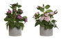 DKD Home Decor Planta de Rosas de Poliéster Surtido de 2 Colores