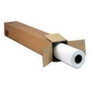 Epson Crystal Clear Film de 17 pulg x 30,5 m Mate
