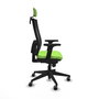 PIQUERAS Y CRESPO Silla de oficina Horna con mecanismo Sincro, Tela Pistacho y Malla Negro