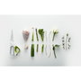 Joseph Joseph PowerGrip Tijeras de cocina Verde