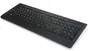 Lenovo Professional Wireless Keyboard QWERTY Español Negro