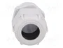 BM GROUP Sello aislante M25 gris