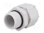 BM GROUP Sello aislante M25 gris