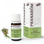 PRANAROM Aceite esencial BIO Ciprés de Provenza 5ml