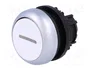EATON ELECTRIC Interruptor de presión RMQ-Titan Blanco 22mm