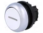 EATON ELECTRIC Interruptor de presión RMQ-Titan Blanco 22mm