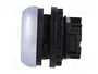 EATON ELECTRIC Interruptor de presión RMQ-Titan Blanco 22mm