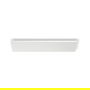 Philips 929003736401 Foco de Superficie LED Blanco y Color Ambiance 1200x300mm Regulable para Salón y Dormitorio