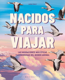 MOSQUITO Rumbo animal, Laura Fraile - MOSQUITO