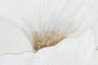 DKD Home Decor Cuadro Shabby Dorado Blanco Lienzo MDF 90 x 60 x 3 cm (4 Unidades)