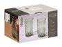 Vivalto Vaso Troquelado Verde 380 ml Vidrio 7x13x7 cm (Set de 24)