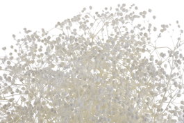 DKD Home Decor Ramo de Flor Preservada Gysophila Mini Blanco 50gr