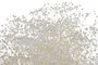 DKD Home Decor Ramo de Flor Preservada Gysophila Mini Blanco 50gr