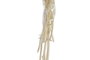 DKD Home Decor Ramo de Flor Preservada Gysophila Mini Blanco 50gr