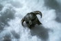 Pure Arts The Elder Scrolls V Skyrim Figura 1/6 Dragonborn Deluxe Edition 32 cm