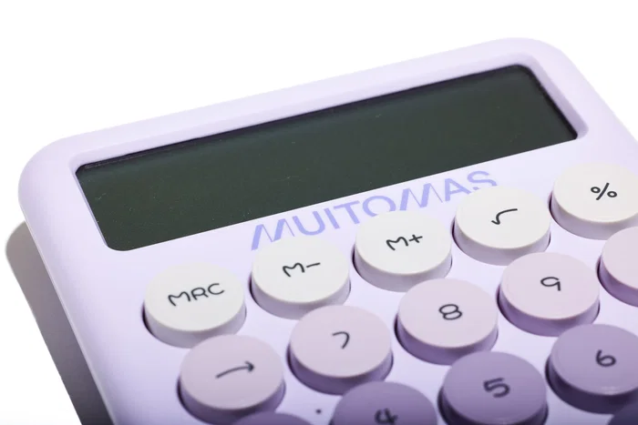 Muitomas Calculadora portátil de 12 dígitos, color lila