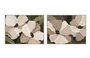 DKD Home Decor Cuadro Lienzo Flores Relieve 120x90 cm (Pack de 2) de estilo Shabby en Blanco y Verde