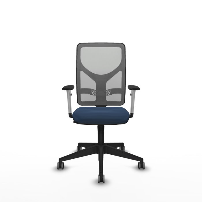 PIQUERAS Y CRESPO Silla de oficina Motilla con mecanismo Sincro, Azul marino y Gris PIQUERAS Y CRESPO Silla de oficina Motilla con mecanismo Sincro, Azul marino y Gris