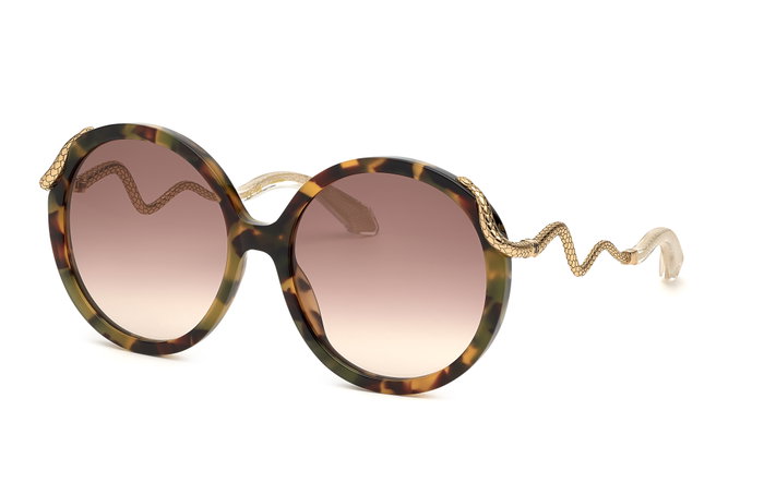 Roberto Cavalli SRC004M590AGG Marrón Roberto Cavalli SRC004M590AGG Marrón