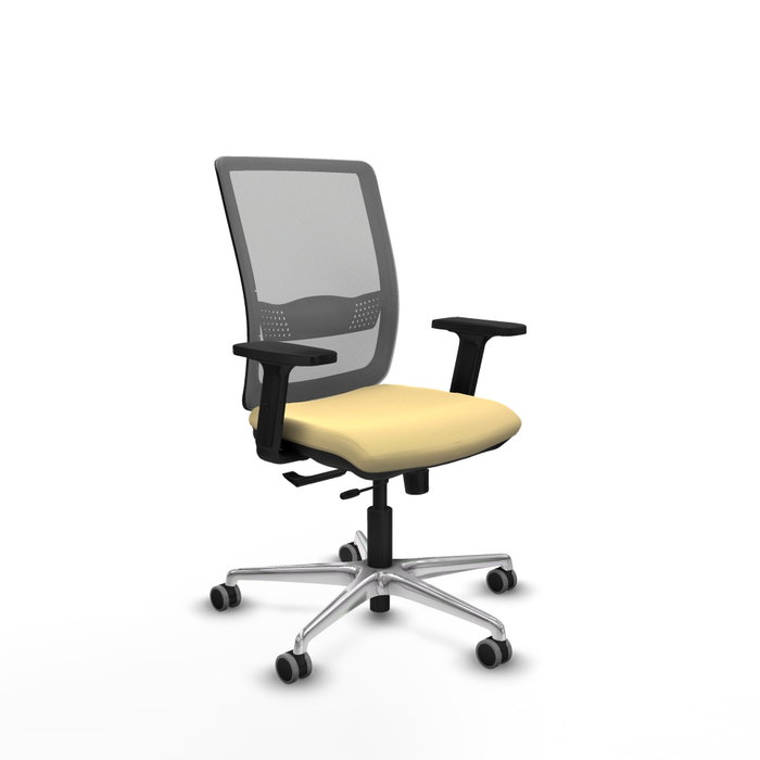 PIQUERAS Y CRESPO Silla de oficina Haches con mecanismo Sincro/Traslack, Crema y Gris PIQUERAS Y CRESPO Silla de oficina Haches con mecanismo Sincro/Traslack, Crema y Gris