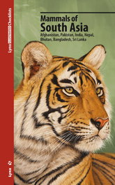 LYNX MAMMALS OF SOUTH ASIA