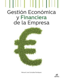 EDITEX, GESTION ECONOMICA Y FINANCIERA DE LA EMPRESA 2025 - AAVV