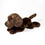 Deqube Peluche Labrador Chocolate Tumbado 25Cm 939D00284 Bocalan