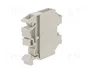 WIELAND Conector de carril 41A 1kV gris