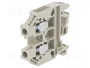 WIELAND Conector de carril 41A 1kV gris