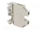 WIELAND Conector de carril 41A 1kV gris