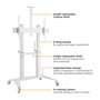 ROLINE Soporte carro TV multimedia con ruedas, para pantallas de 70 a 120 pulgadas (177.8 cm a 3.05 m), carga 140 kg, color negro