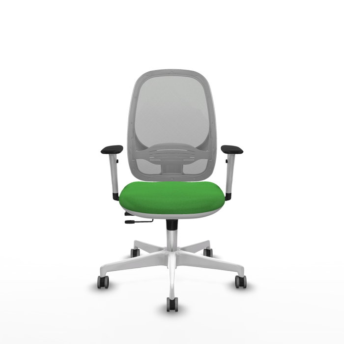 PIQUERAS Y CRESPO Silla de oficina Cilanco Verde y Gris PIQUERAS Y CRESPO Silla de oficina Cilanco Verde y Gris