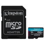 Kingston Canvas Go! Plus 256 GB MicroSDXC