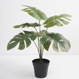 DKD Home Decor Planta Monstera Verde Colección Little monstera