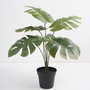 DKD Home Decor Planta Monstera Verde Colección Little monstera