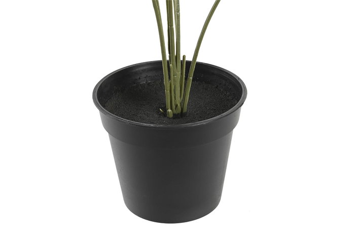 DKD Home Decor Planta Monstera Verde Colección Little monstera