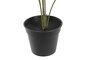 DKD Home Decor Planta Monstera Verde Colección Little monstera