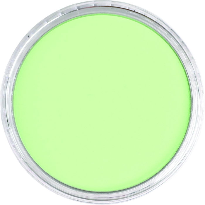Panpastel 690.8 Verde amarillento tinte Panpastel 690.8 Verde amarillento tinte