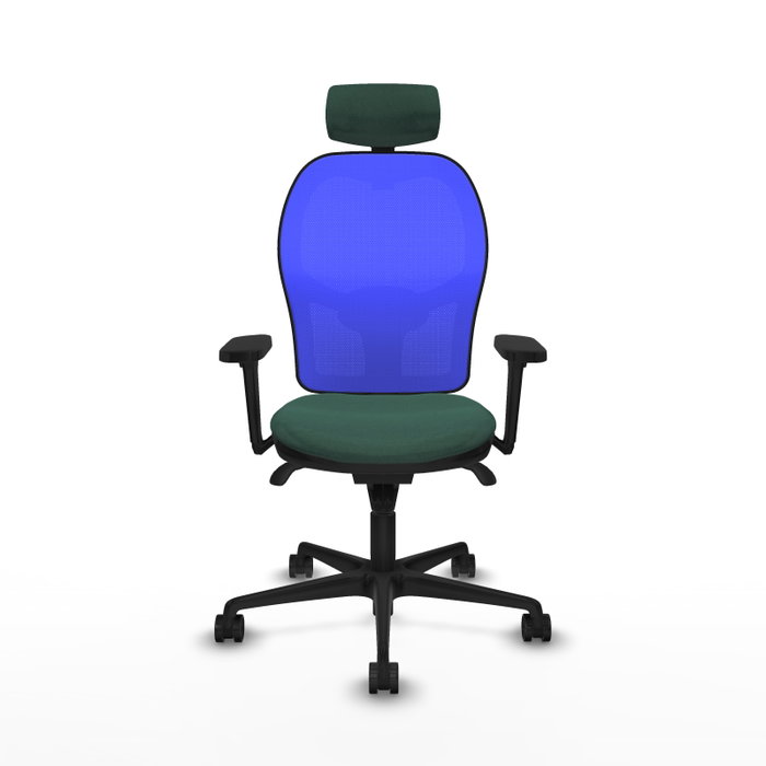 PIQUERAS Y CRESPO Silla de oficina Jorquera con mecanismo Sincro, tela Verde botella y malla Azul PIQUERAS Y CRESPO Silla de oficina Jorquera con mecanismo Sincro, tela Verde botella y malla Azul