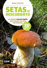 Setas al descubierto, Marc Estévez - NOW BOOKS