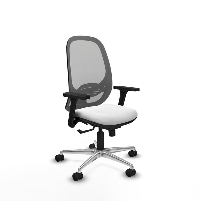 PIQUERAS Y CRESPO Silla de oficina Cilanco con mecanismo Sincro, Blanco y Gris PIQUERAS Y CRESPO Silla de oficina Cilanco con mecanismo Sincro, Blanco y Gris