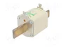 ETI POLAM Fusible NH2 de cartucho de cerámica 250A 690VAC