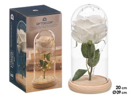 GIFTDECOR CUPULA 1 ROSA LED BLANCA