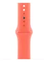 Apple Correa Apple Watch Grupo de rock Naranja